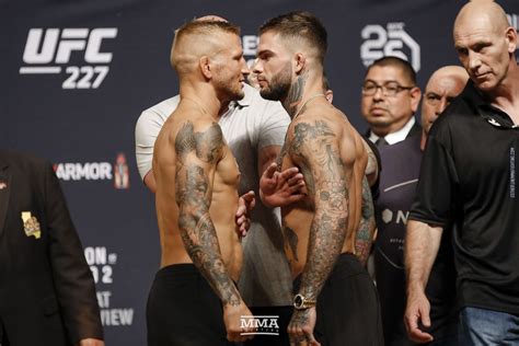 cody garbrandt tj dillashaw fight.